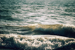 waves - Blue Hill Public Library