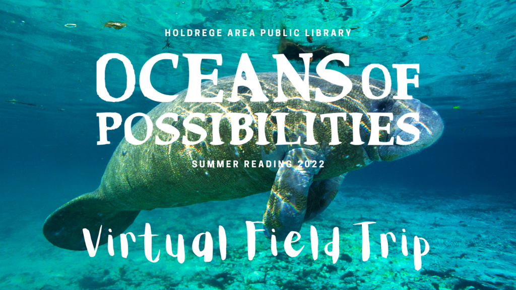 :: Field Trip to Homosassa Springs Wildlife State Park: Manatee Cam