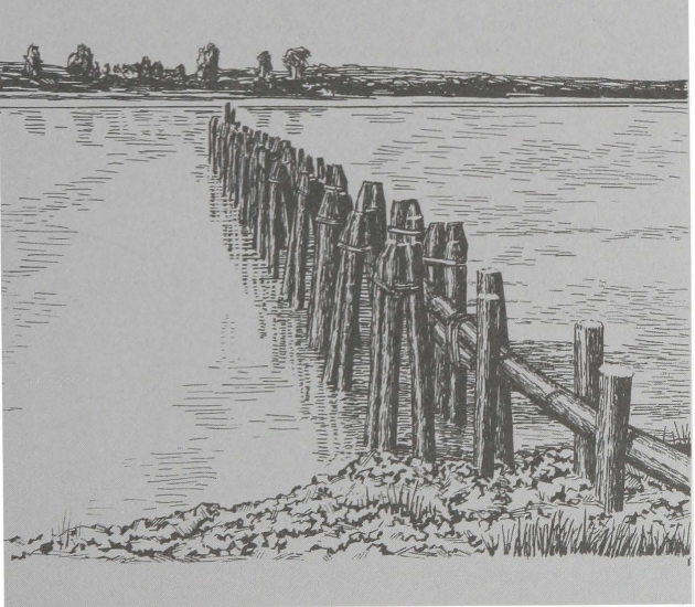A sketch illustration depicting sills going out into the Missouri River. Sills are a series of wooden stakes with rope and netting tied together with them.